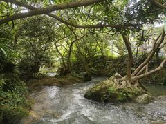 -花溪公园
