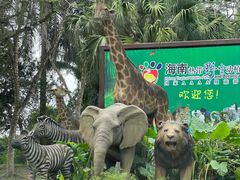 -海南热带野生动植物园