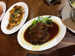 -绿光森林餐厅
