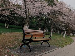 -范蠡湖公园