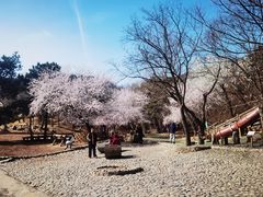 -北京西山国家森林公园