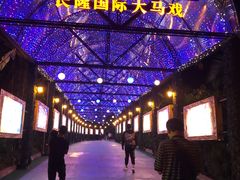 -广州长隆国际大马戏