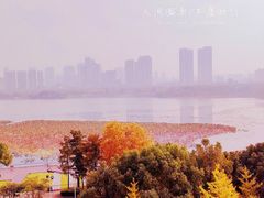 -月湖风景区
