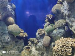 -福州罗源湾海洋世界旅游区