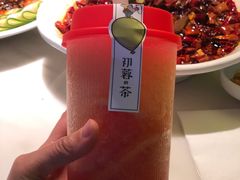 -初蓉丨遇见新川菜(亲贤街荣耀店)