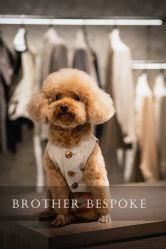 点击看大图 -Brother西服礼服定制·商务·婚礼(佛山南海店)