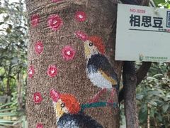 -呀路古热带植物园
