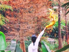 -云溪植物园