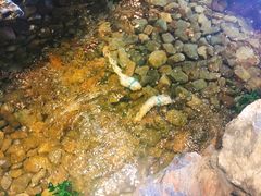 -綱元·海鲜豆捞(明州里店)