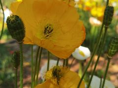 -名花谷生态庄园