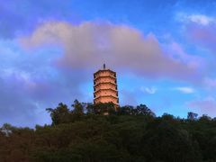 -深圳国际园林花卉博览园