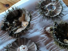 -蓝湾碧波·老字号·疍家非遗海上餐厅