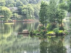 -重庆彩云湖湿地公园