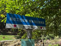 -广州白江湖森林公园