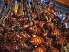 -那些年记忆烧烤