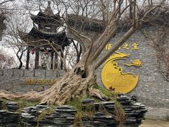 -朴园
