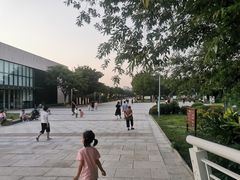 -九里河湿地公园