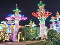 -富贵黄金屋