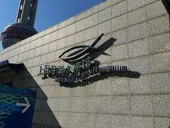 -上海海洋水族馆