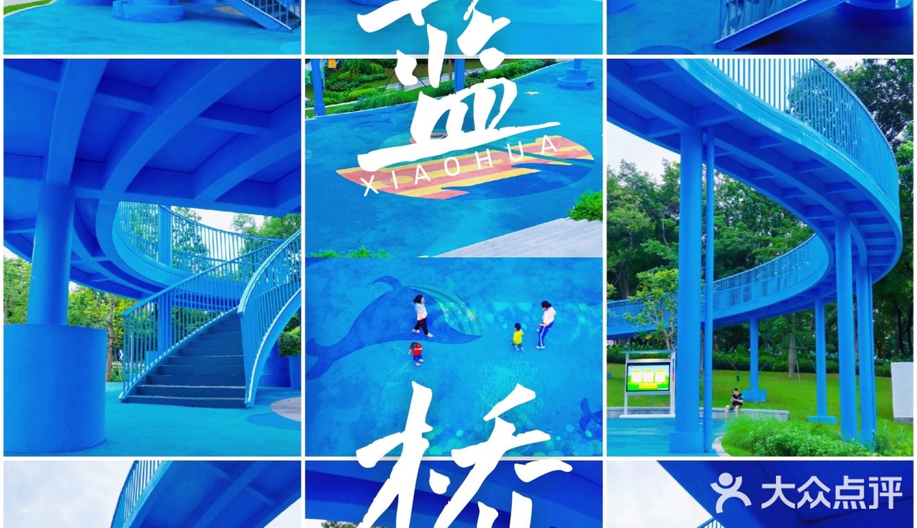 深圳0元拍照丨（附地图）光明有红桥，罗湖有迷你蓝桥鸭～