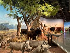 -陕西自然博物馆