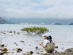 -坝光海滩