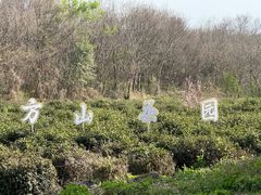 -南京市江宁方山
