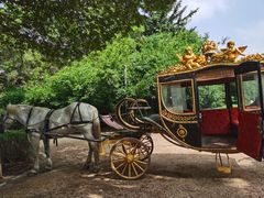 -长春市南湖公园