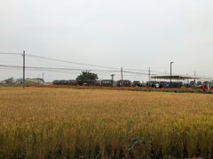 -喜洋洋蟹庄(阳澄湖店)