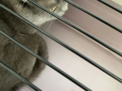 -艾吉宠物医院·疑难杂症转诊中心·猫友好(碧江路院)