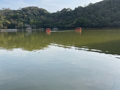 -西樵山风景名胜区-天湖公园