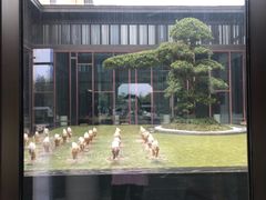 -上海崇明金茂凯悦酒店