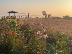 -七的湖·晚芳亭·阳澄湖农家菜·大闸蟹(莲花岛店)