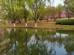 -白塘生态植物园