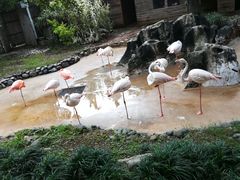 -昆明动物园