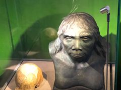 -辽宁古生物博物馆