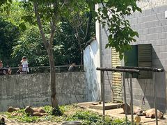 -合肥野生动物园