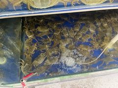 -阳澄湖大闸蟹·琼灵阁牌品牌连锁(吴中总店)