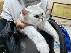 -瑞派宠物医院·24h·骨外科·皮肤科·全科宠物医疗转诊中心(沈阳浑南院)