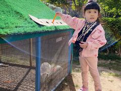 -廊坊固安福朋喜来登酒店