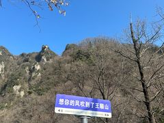 -王顺山国家森林公园
