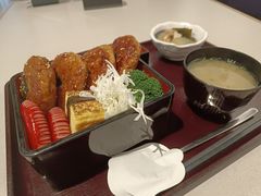 -dodonpa.墩墩伐 便当食堂(博华广场店)