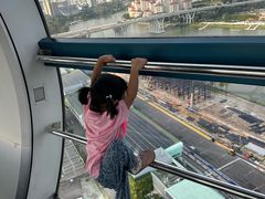 -新加坡摩天观景轮