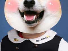 -中国照相馆(清河万象汇店)