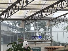 -满天星花园