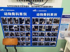 -仁仁嘉嘉宠物医院·骨外科中心·髋关节置换(北仑分院)