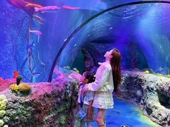 -沈阳海洋探索中心