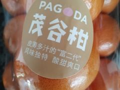 -百果园PAGODA(盛世家园店)