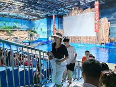 -华夏文旅海洋公园