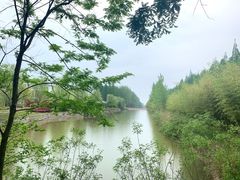 -黄海国家森林公园